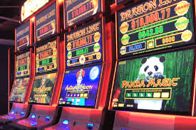 Everything You Need to Know About thepokies - Your Ultimate Guide